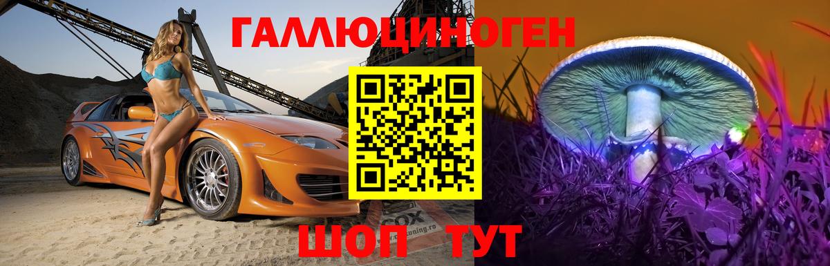 Галлюциногенные грибы Psilocybe Саянск